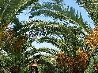 מלון Martha's Haus 4*