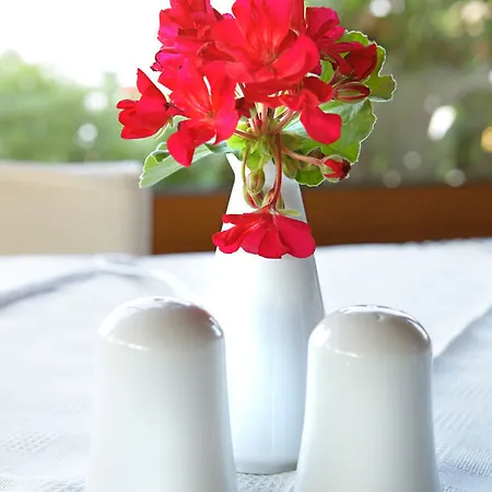 מלון Martha's Haus